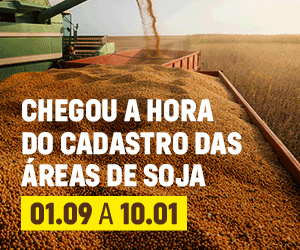 MV | Processo Seletivo | PI 016534