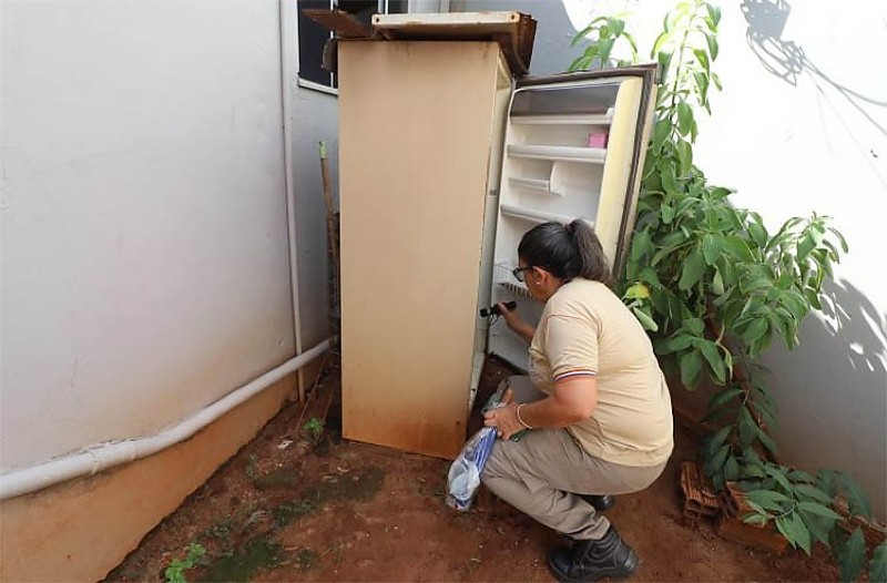 Combater focos do Aedes é a maior proteção