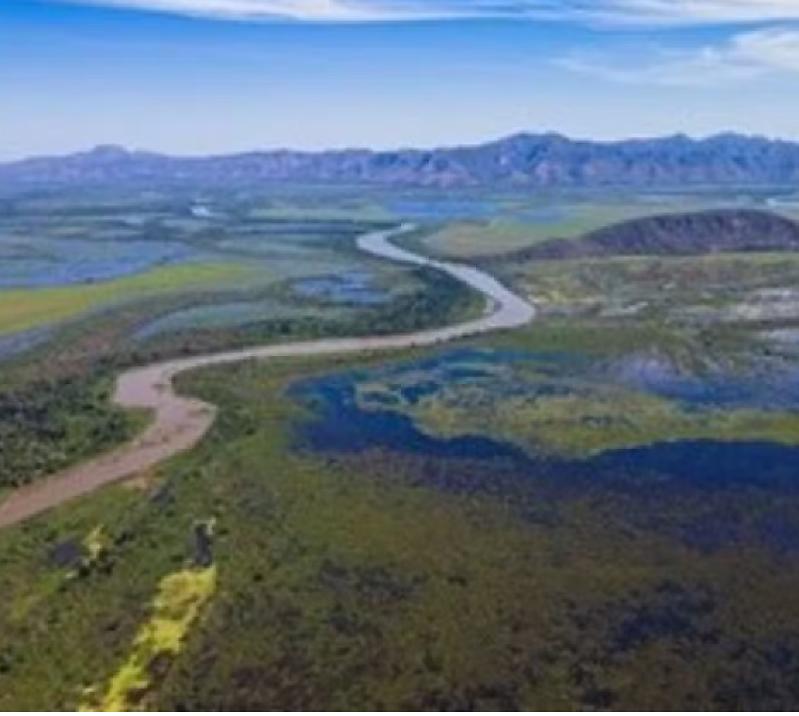 Ação exige suspensão de agrotóxico Atrazina e indenização de R$ 300 mi