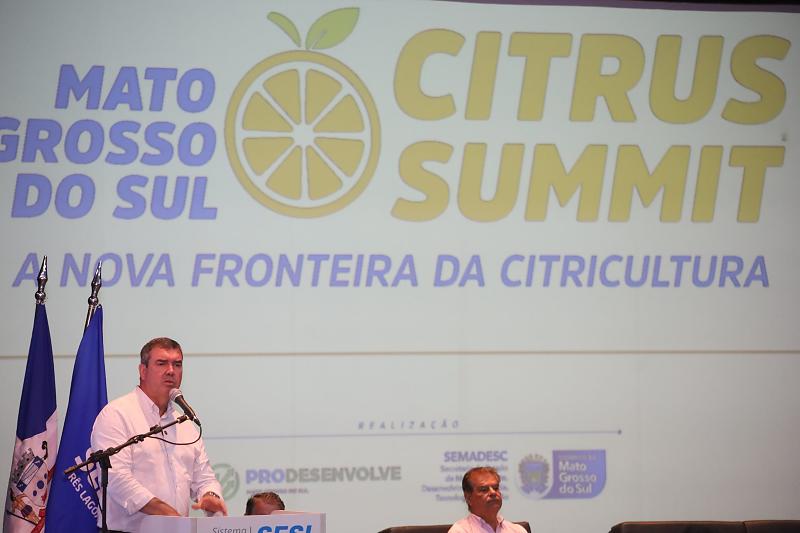 Hoje o Estado tem mais de 15 mil hectares plantados e planeja avançar com mais 30 mil nos próximos anos