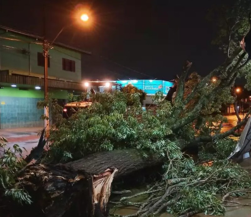 Chuvas e ventos fortes causam danos, mas não há registro de feridos