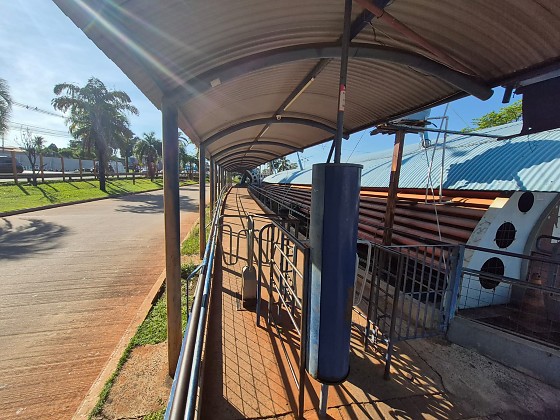 Greve paralisa ônibus e deixa Campo Grande sem transporte coletivo