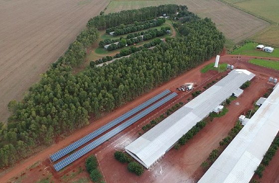Avicultura prop&otilde;e cria&ccedil;&atilde;o de escola t&eacute;cnica ap&oacute;s impulso do Frango Vida