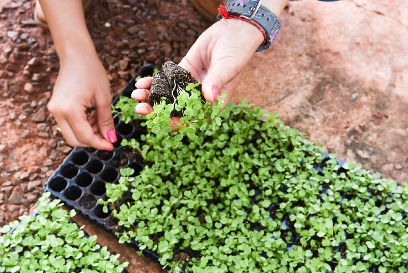 Campo Grande amplia apoio ao agro e à agricultura familiar em 2025