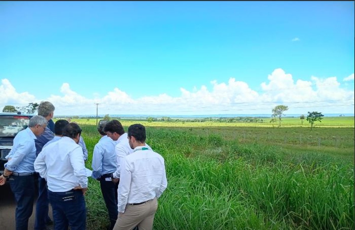 Nova f&aacute;brica da Bracell entra em fase decisiva em Bataguassu