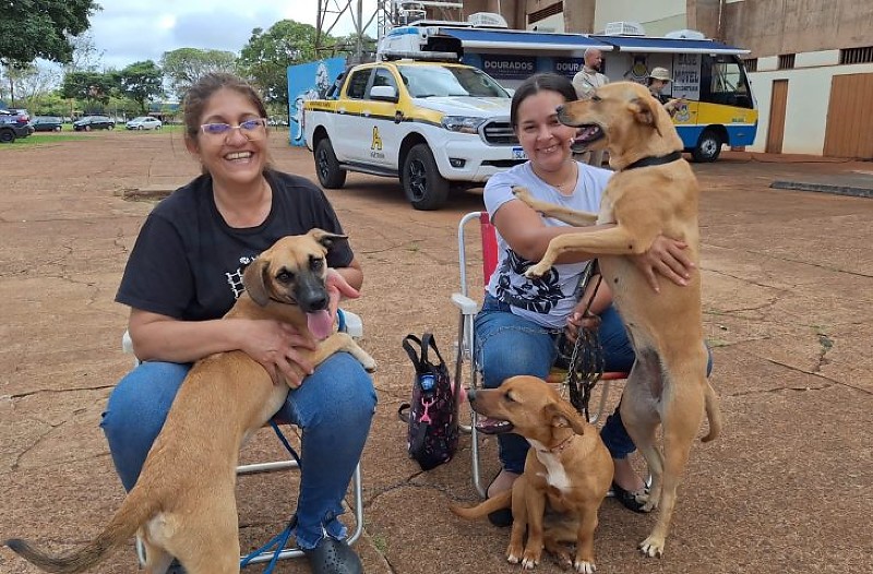 Caravana da Castração passa por cinco cidades de Mato Grosso de Sul em janeiro