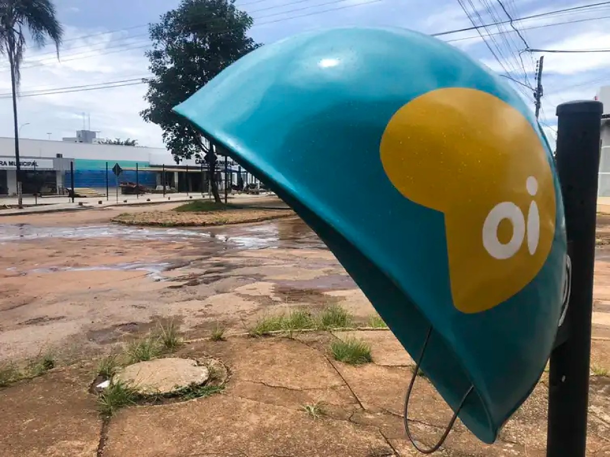 Orelh&otilde;es ser&atilde;o extintos em todo o Brasil at&eacute; o fim de 2028