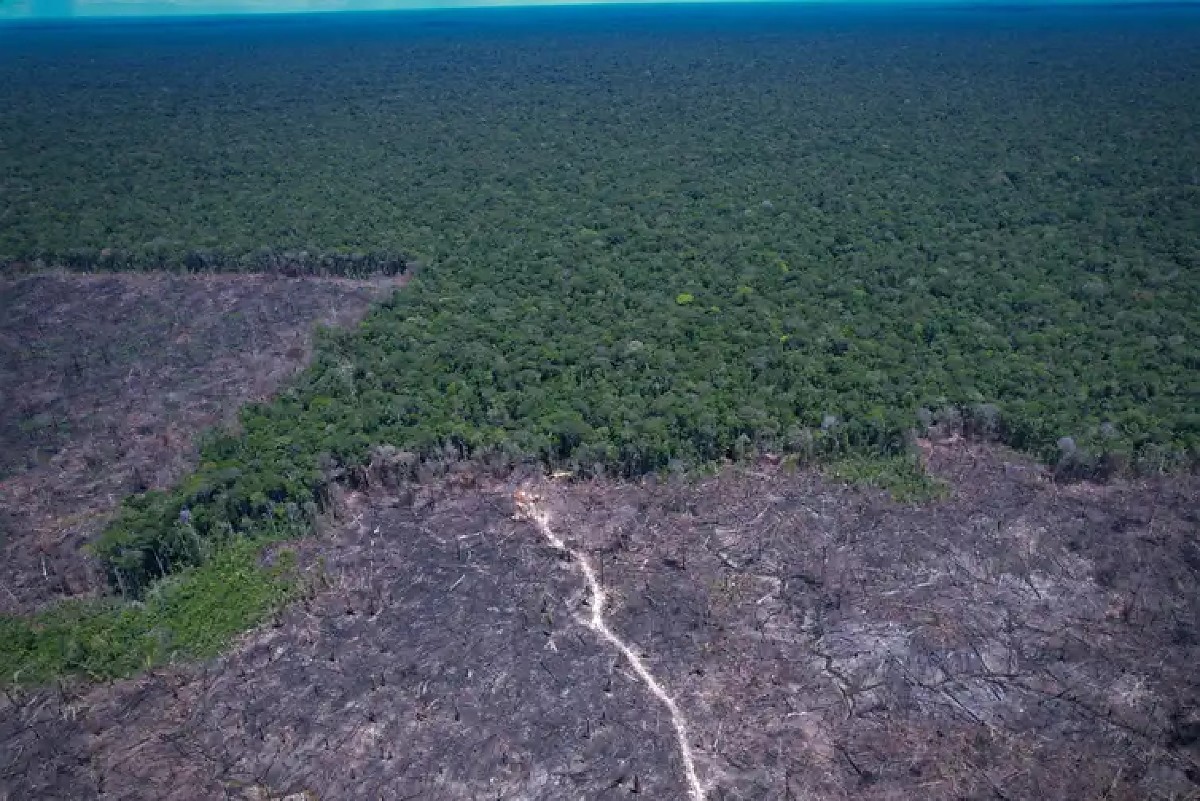 Lei do licenciamento ambiental entra em vigor com ações no STF