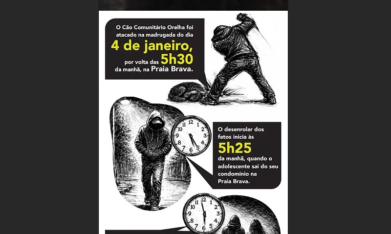 São Paulo (SP) - 04/02/2026 - Caso do cachorro Orelha. Infográfico Polícia-SC