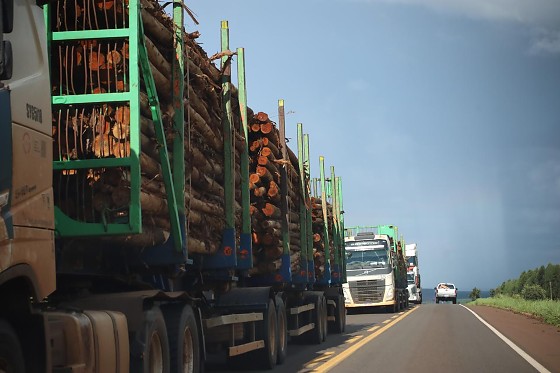  Short line da Arauco liga f&aacute;brica &agrave; malha e impulsiona Vale Celulose