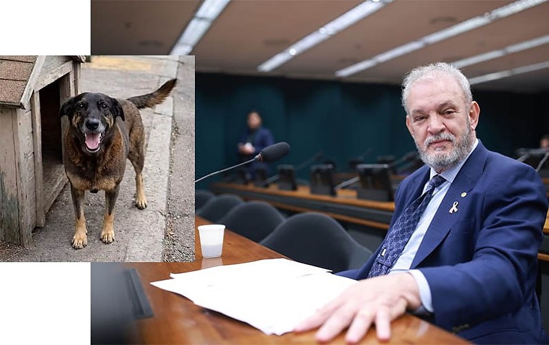 Caso do cão Orelha deve gerar CPI, com aval de Resende