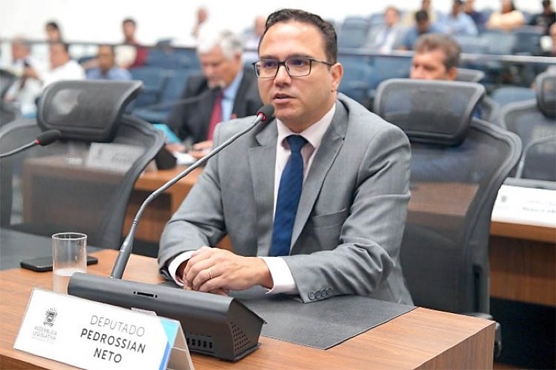 Pedro Neto defende mapeamento de terras raras