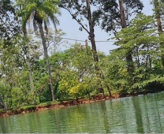 Dois morrem eletrocutados ap&oacute;s salto de tirolesa em ch&aacute;cara