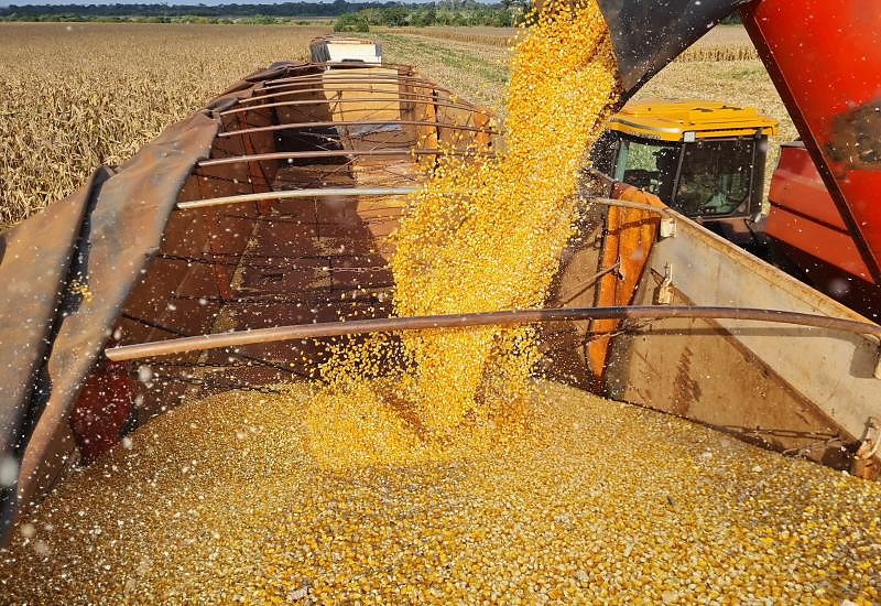 Exportação de DDG pode impactar mercado em Mato Grosso do Sul