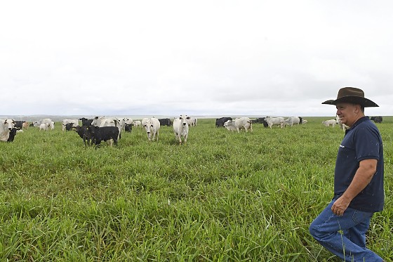 Agro de Mato Grosso do Sul cresce 18,6% e consolida liderança nacional