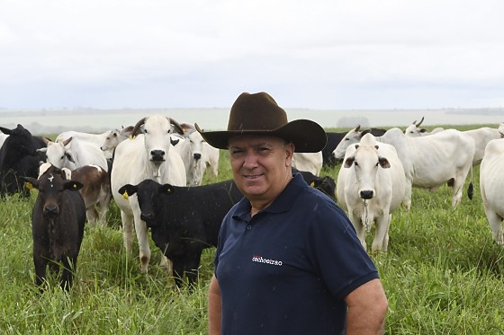 Agro de Mato Grosso do Sul cresce 18,6% e consolida liderança nacional
