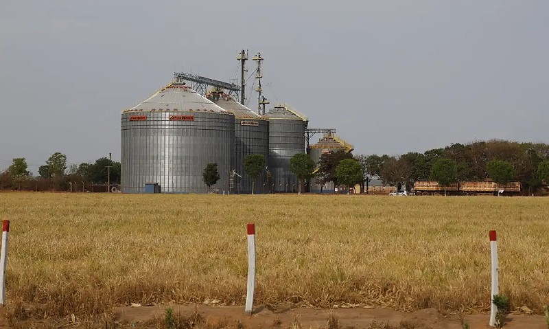Balsas (MA), 09/10/2025 – Silos para armazenamento de grãos em fazenda de cultivo de soja vistos ao longo da rodovia MA-140