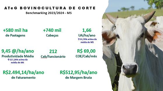 Planejamento na pecu&aacute;ria ajuda produtor a enfrentar transi&ccedil;&atilde;o do ciclo pecu&aacute;rio