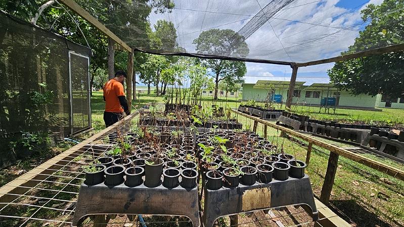 Projeto amplia ações de conservação no Pantanal e Serra da Bodoquena