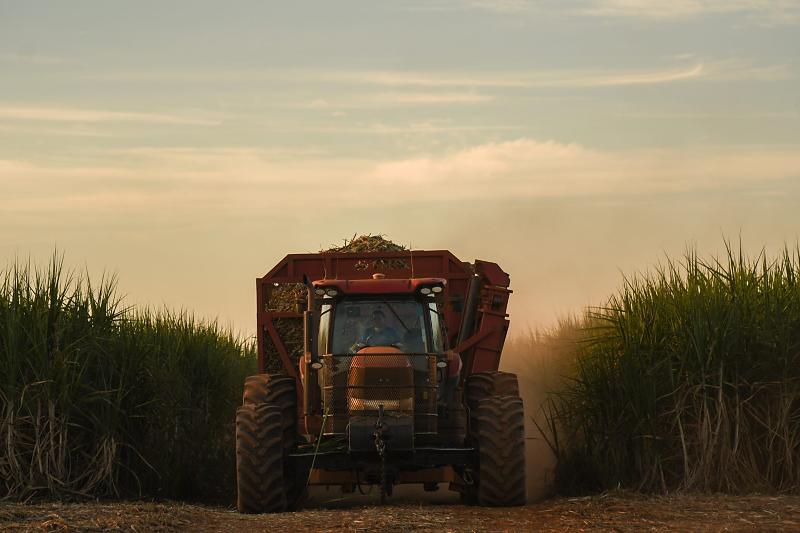 Com avanço da agroindústria, Mato Grosso do Sul se destaca no cenário industrial do país