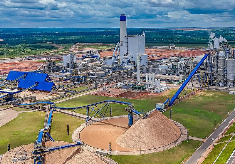Celulose, carne bovina e soja lideram vendas externas do estado no início de 2026