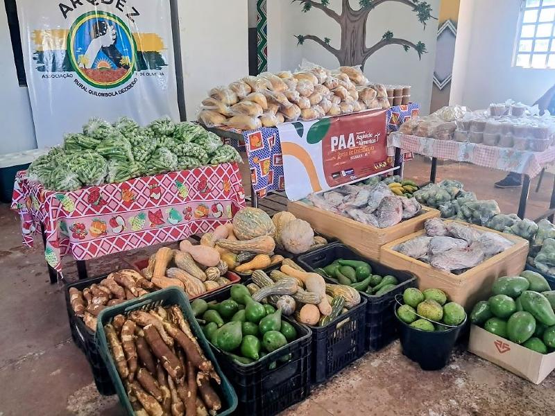 ALimento são entregues aldeias indígenas