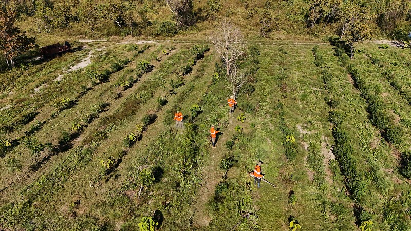Recursos do programa PSA Bioma Pantanal fortalecem brigadas, comunidades e conservação da biodiversidade