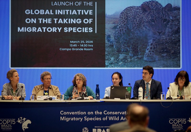 A proposta reúne governos e organizações internacionais para enfrentar a captura ilegal de animais silvestres