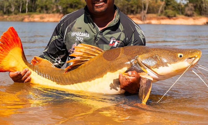 Plano para peixes amazônicos e inclusão da ariranha marcam decisões