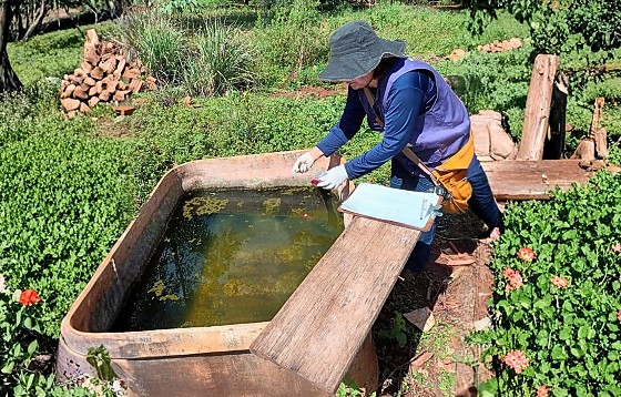 https://cdn.capitalnews.com.br/storage/webdisco/2026/04/09/560x420/870a9aad583b59474d4e954482d4e901-capitalnews-com-br.jpg