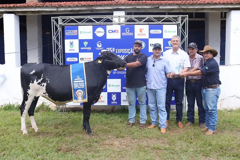 Vaca de MS conquista título e se destaca na Expogrande pela genética e produtividade