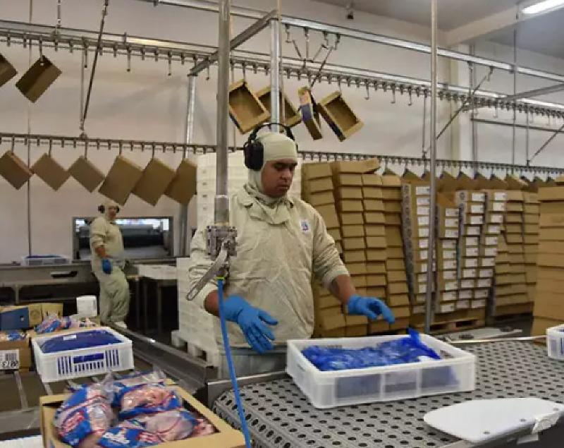 Exportações industriais atingem US$ 580 milhões em MS
