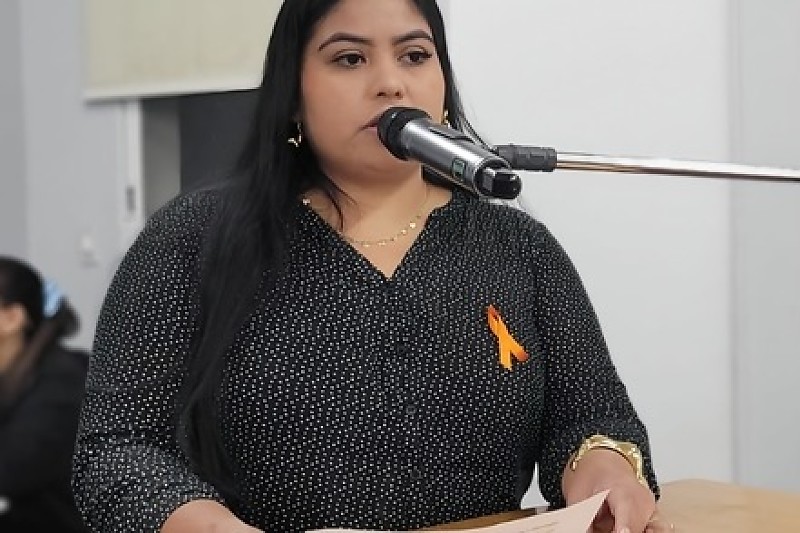 Antonele pede apoio da Câmara e diz que ajuda é fundamental para assegurar condições adequadas de trabalho