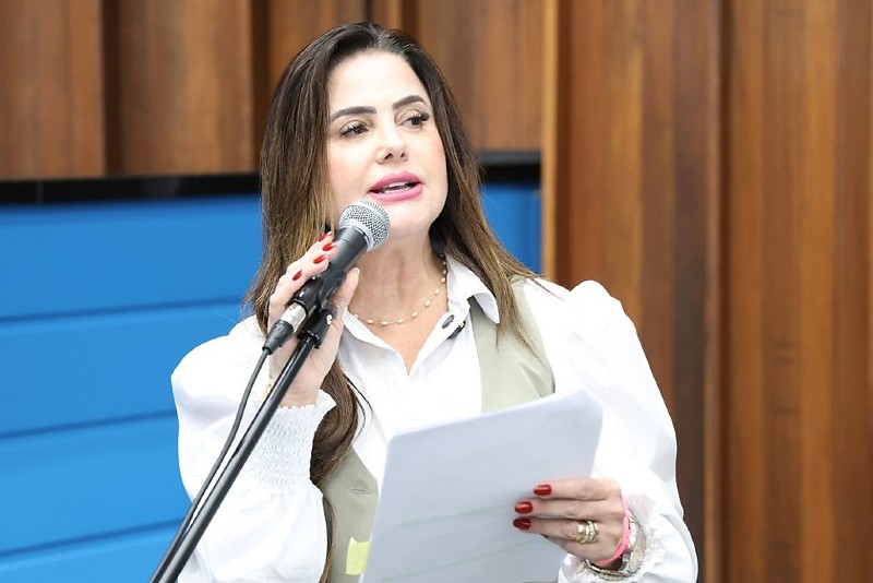 Proposta é da deputada Mara Caseiro