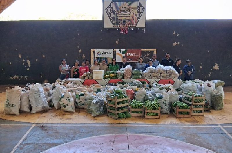 Esses alimentos estão sendo destinados a famílias em situação de insegurança alimentar por meio da rede socioassistencial, como CRAS, CREAS, escolas indígenas, unidades de acolhimento