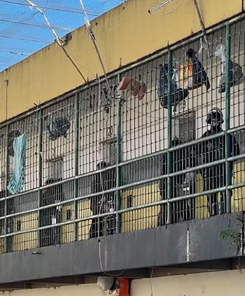 https://cdn.capitalnews.com.br/storage/webdisco/2026/06/08/560x420/947ef348294758a6f7a13ceaf3642e66-capitalnews-com-br.png