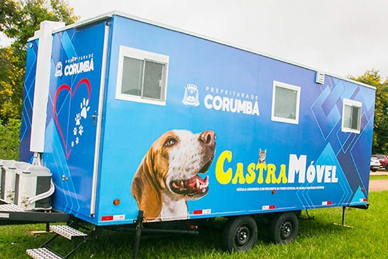 Governo de MS Destina recursos para cirurgias de cães e gatos