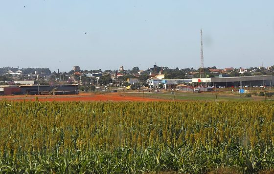 Funda&ccedil;&atilde;o Chapad&atilde;o amplia pesquisas e aposta em IA para impulsionar produtividade no agro
