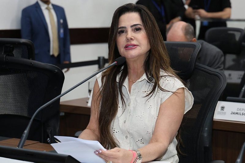 Ambas são de autoria da deputada Mara Caseiro