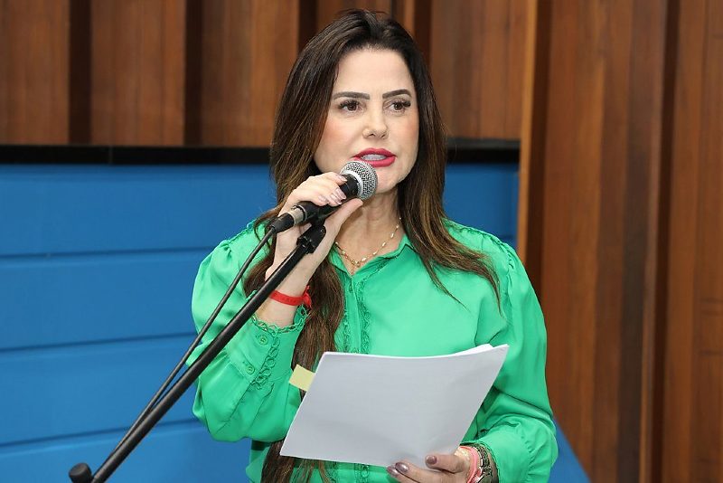 Deputada Mara Caseiro apresentou o projeto na sessão plenária desta quarta-feira (1)
