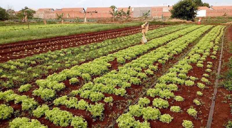 A reunião tem como objetivo melhorar a produção agricola em torno de Campo Grande