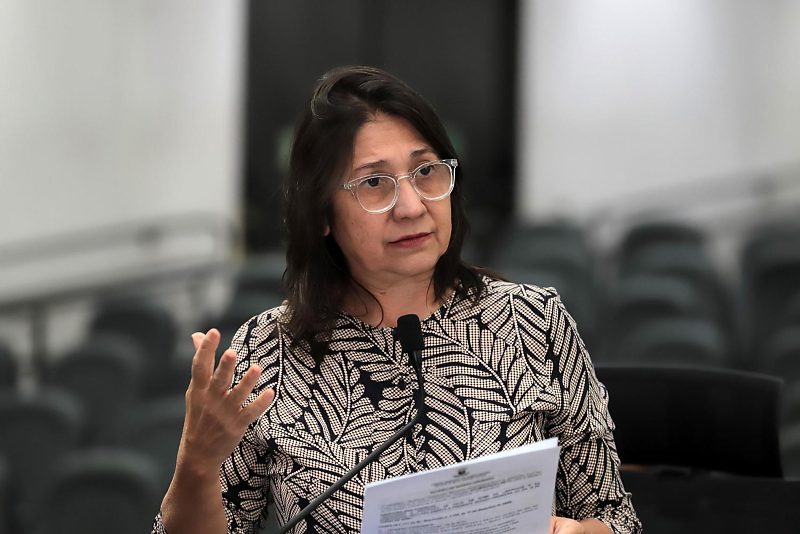 Vereadores Luiza Ribeiro (PT)