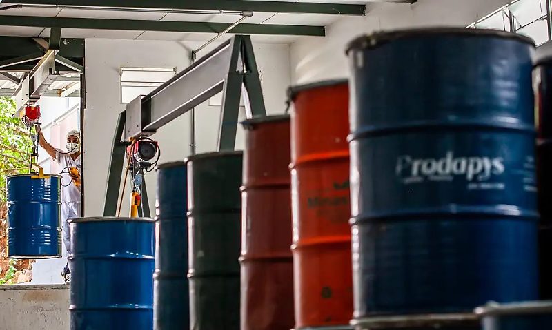 Águas Lindas - GO, 03 de dezembro de 2021. Agroindústria, produção de mel