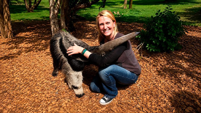 Lydia Theresia Möcklinghoff era referência mundial no estudo do tamanduá-bandeira e seguia para pesquisas em Aquidauana quando ocorreu o acidente.
