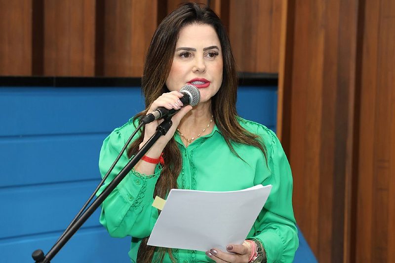 Autora da proposta, deputada Mara Caseiro