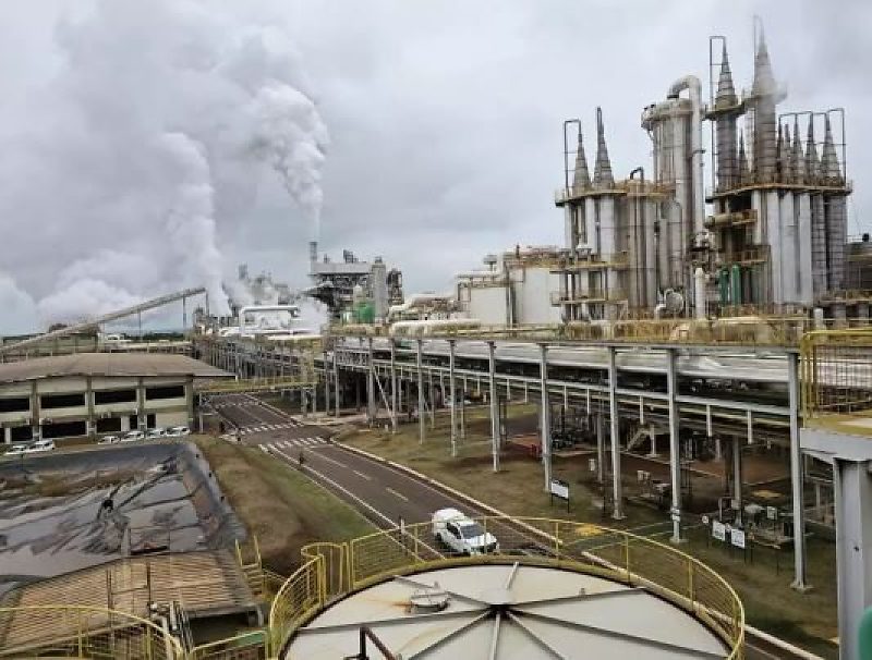 Estado ultrapassa Goiás e amplia produção nos cinco primeiros meses de 2026