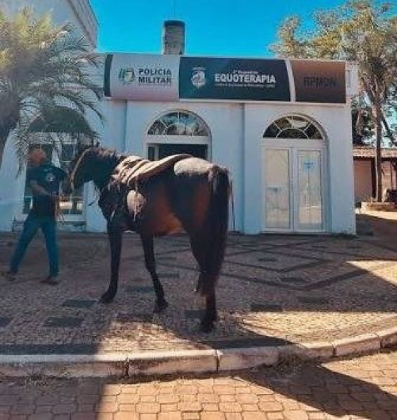 Centro de Equoterapia da PMA é declarada como utilidade pública pela Câmara Municipal de Dourados