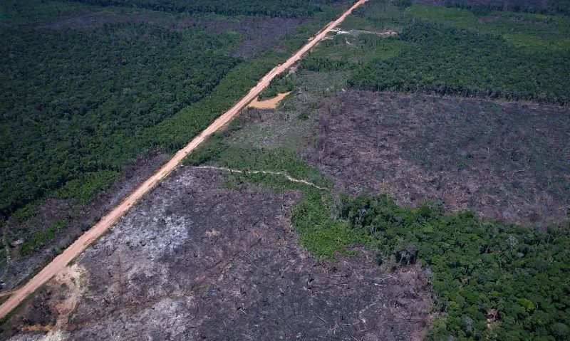 Humaitá (AM), 28/10/2025 - BR-319: ramais e estradas clandestinas avançam sobre áreas protegidas e facilitam desmatamento e mineração