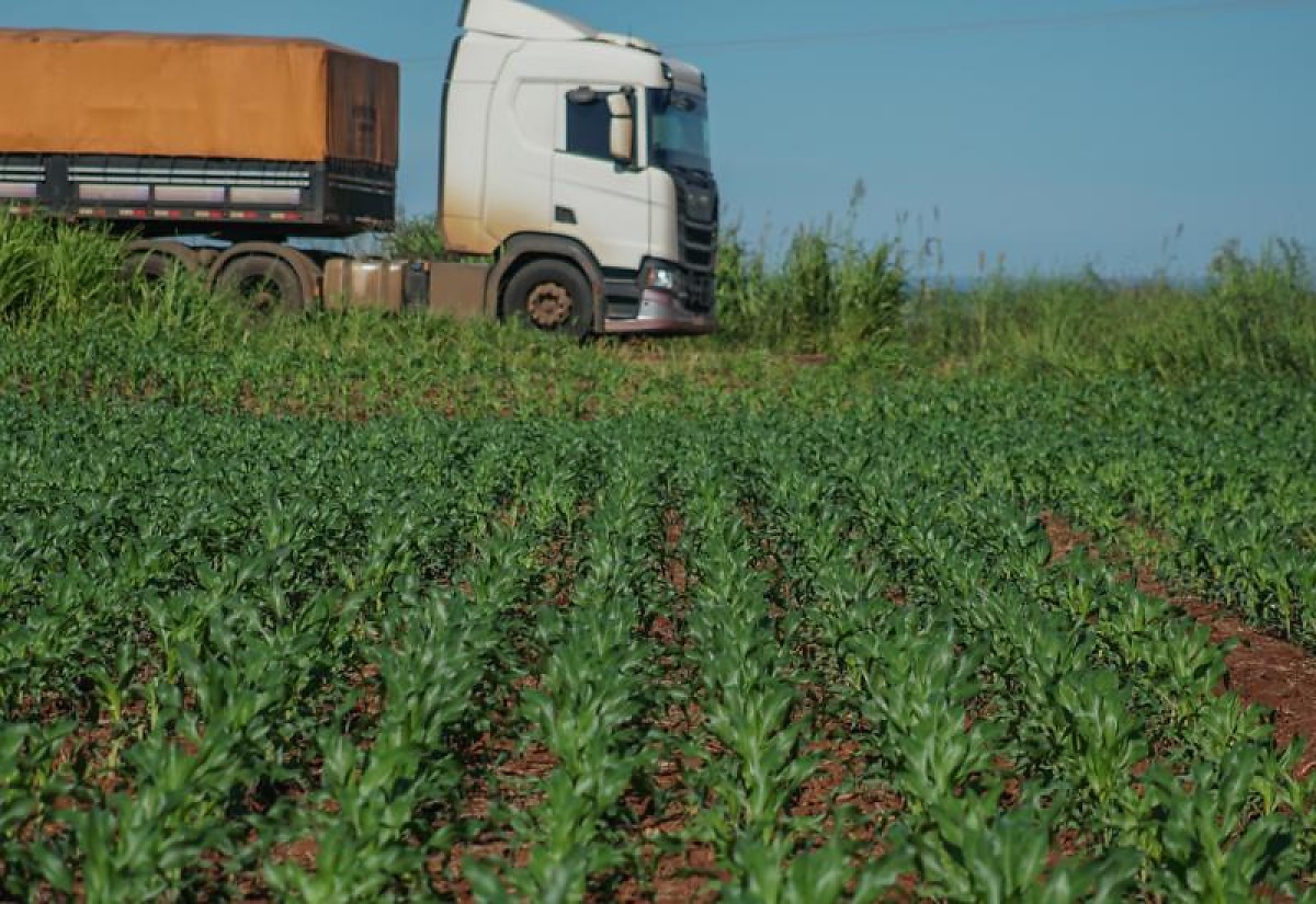 Aprosoja-MS impactos da infraestrutura log&iacute;stica sobre a produ&ccedil;&atilde;o agr&iacute;cola no MS