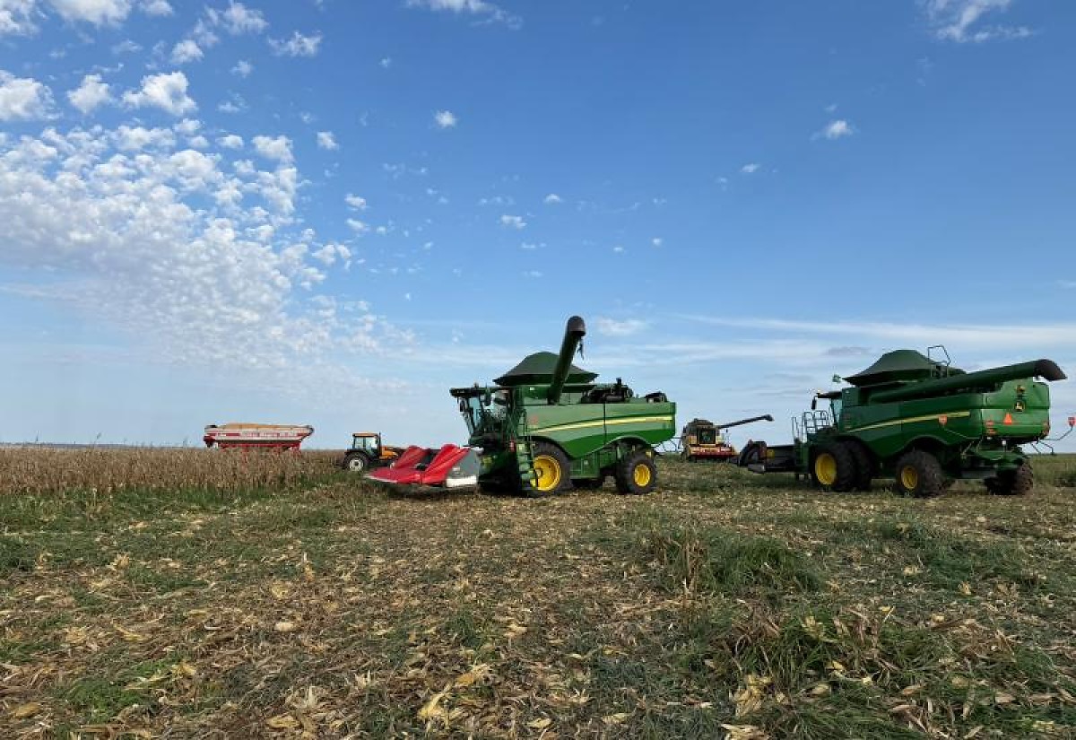 Campo Grande supera R$ 1 bilhão na agricultura e diversifica produção